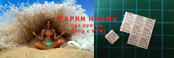 PSILOCYBIN Алзамай