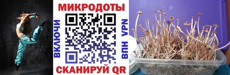 Галлюциногенные грибы GOLDEN TEACHER Знаменск