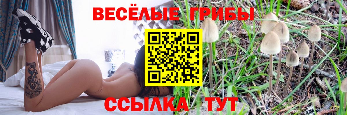 Галлюциногенные грибы мухоморы  Псилоцибиновые грибы ЛСД  Знаменск  закладки  Вход с VPN 